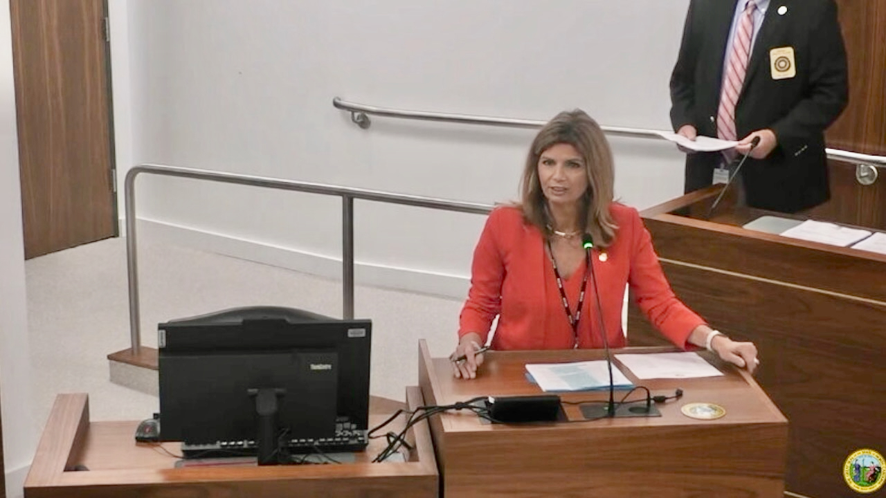 Lisa Barnes in committee