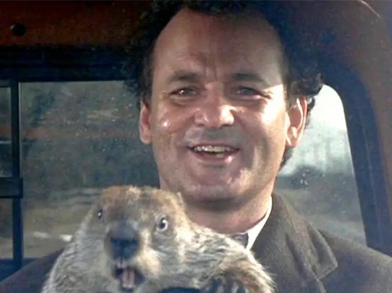 'Groundhog Day' is more than a comedy about a dopey weatherman - Vimarsana News
