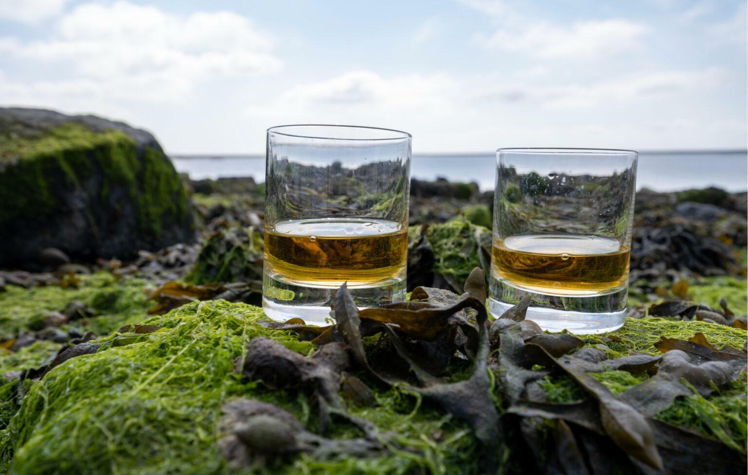 Freedom and whisky go together like tyranny and oppression - Vimarsana News