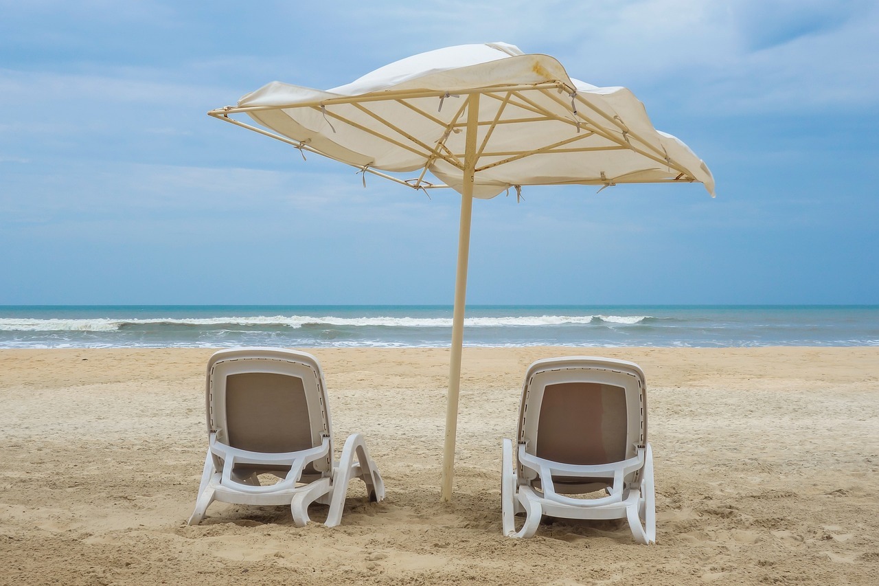 Beach books: What we're reading this summer - Vimarsana News