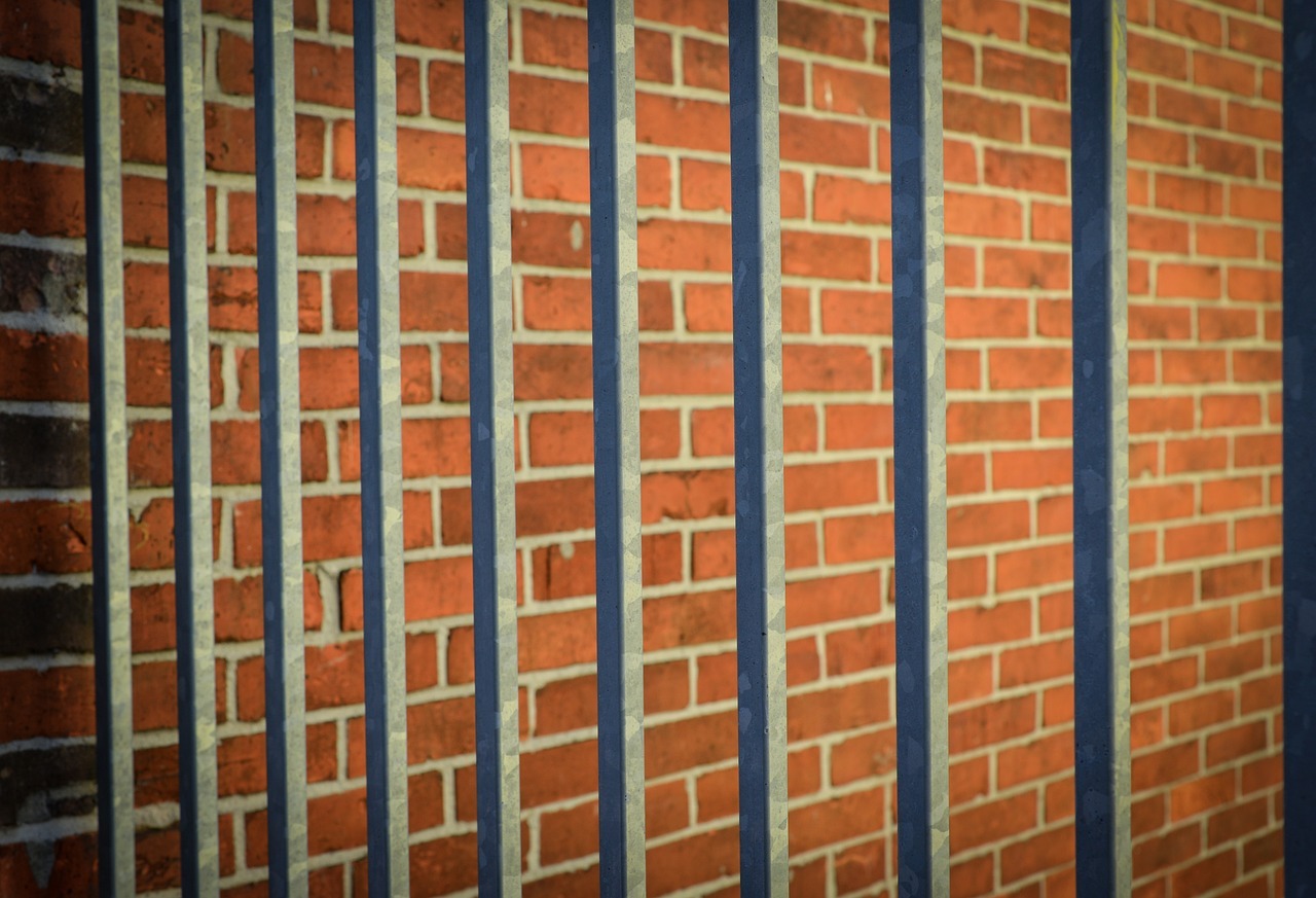 4th Circuit says NC prisoner can sue over treatment during pregnancy