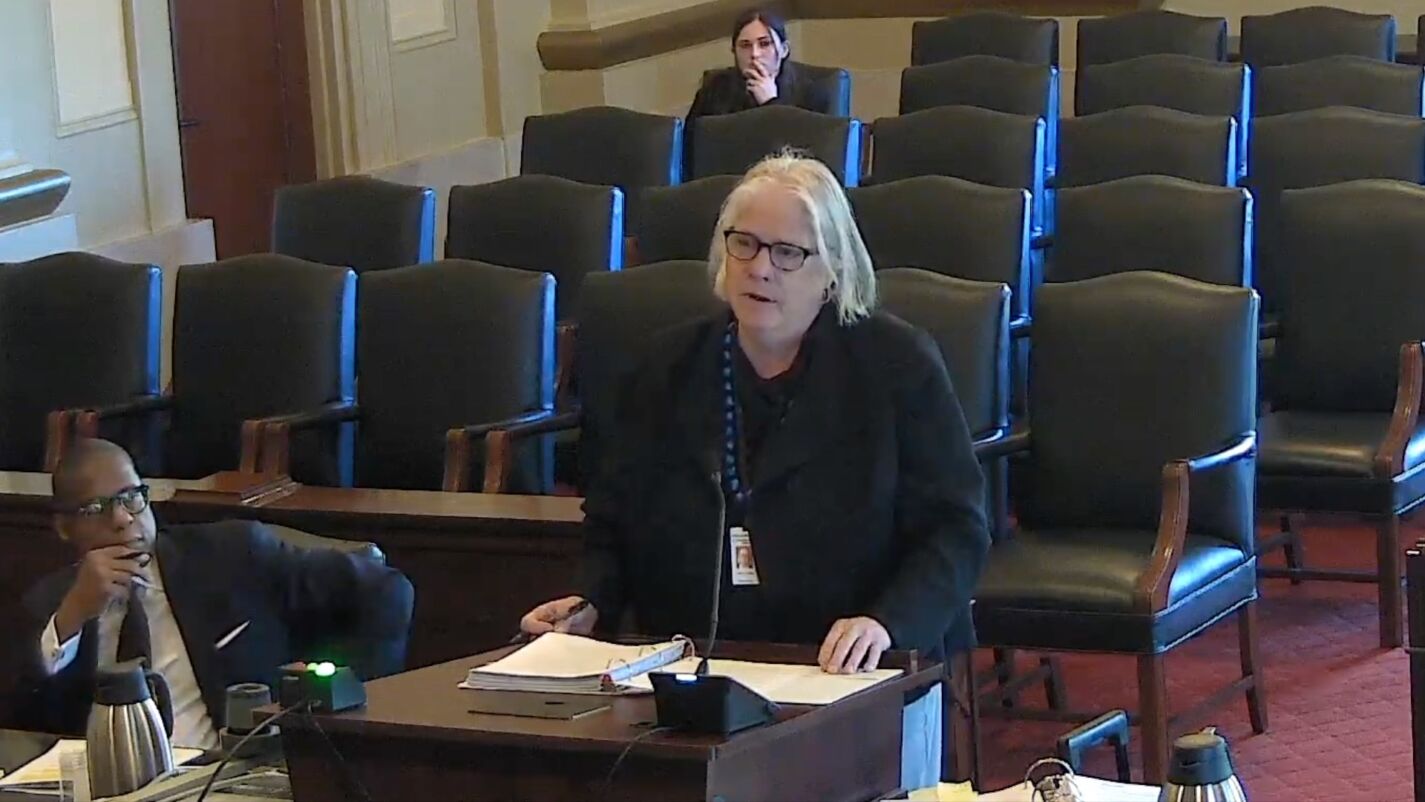 Mary Lucasse argues at the North Carolina Court of Appeals