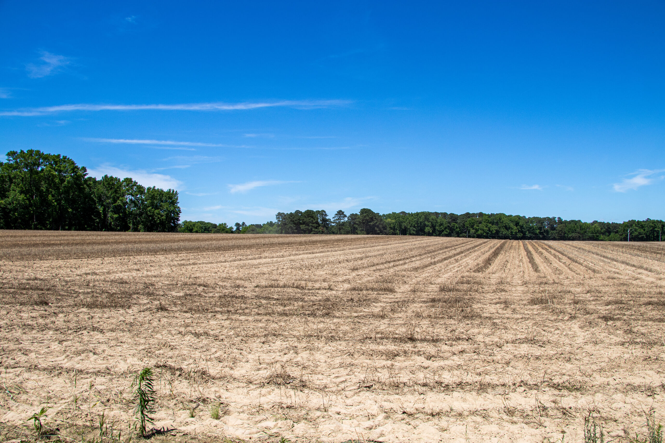Global turmoil threatens fertilizer supply chain