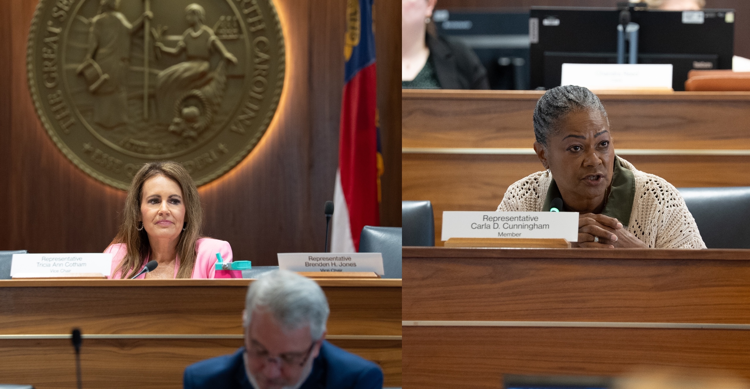 Mecklenburg’s lone GOP House seat at risk as Democrats oust moderates